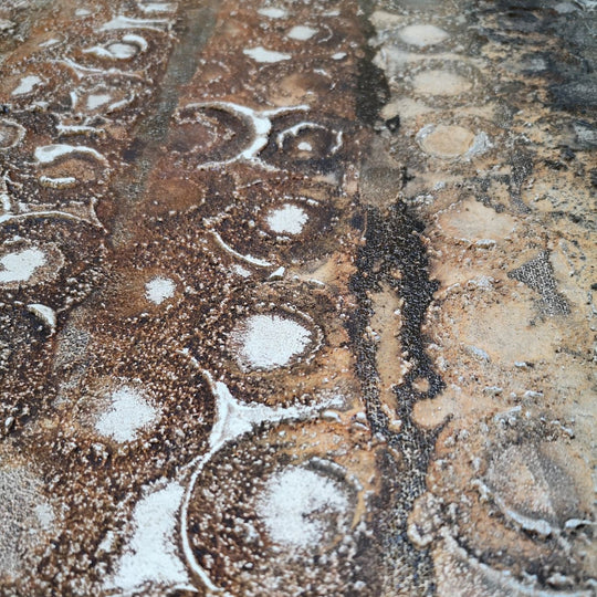 Detailfoto 117