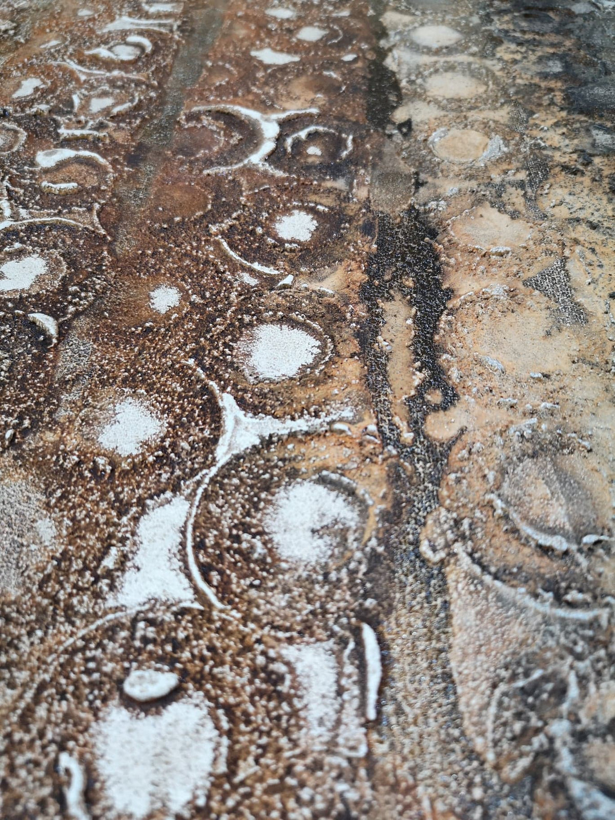 Detailfoto 117