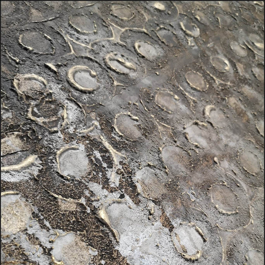 Detailfoto 20